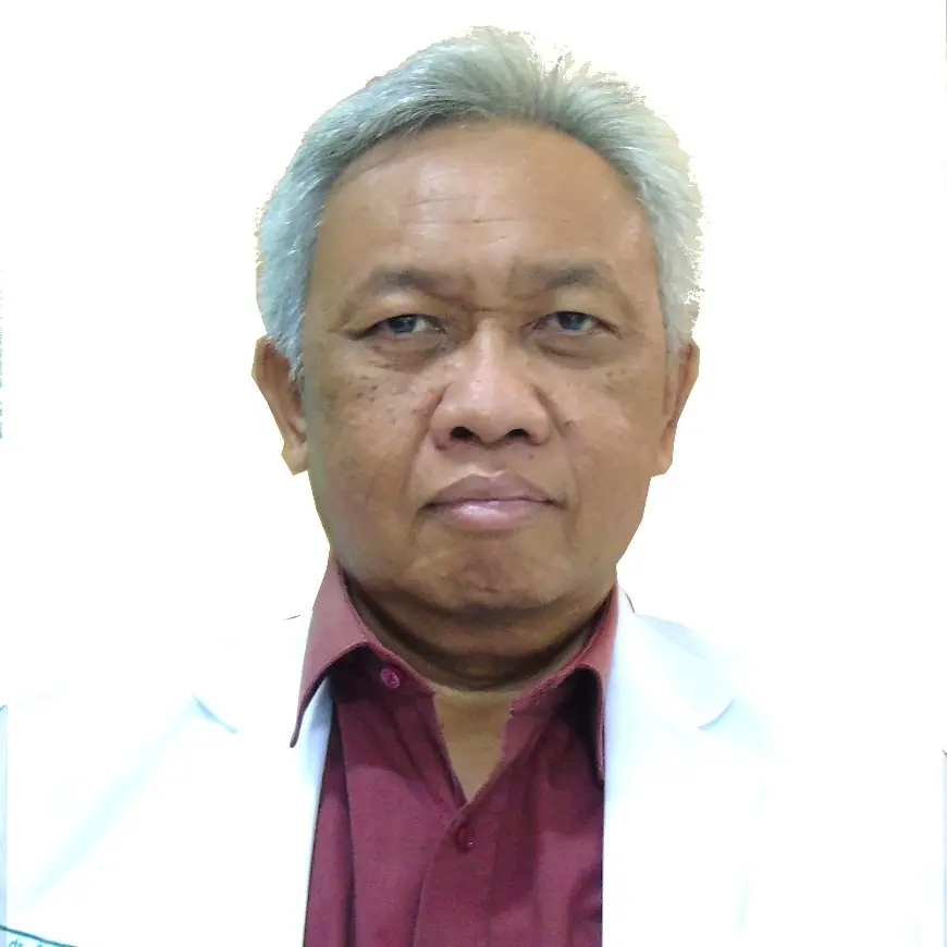 Prof. Dr. dr. Ismail Setyopranoto, Sp.S (K) 